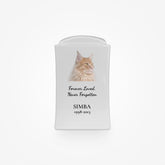 Urna per cremazione in porcellana per gatto - 1L