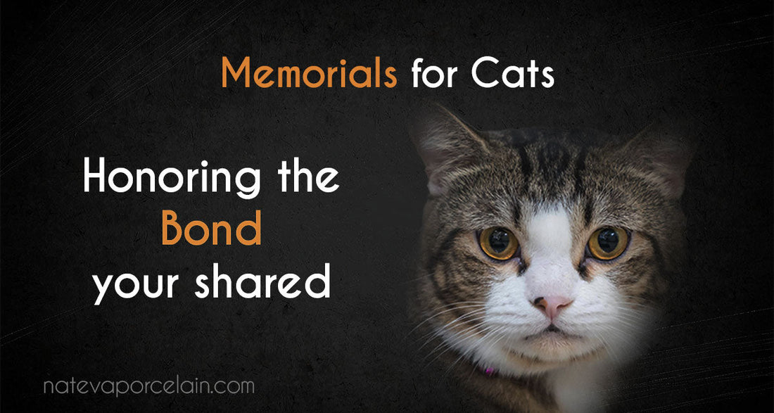 Memorials for Cats: Honoring the Bond You Shared