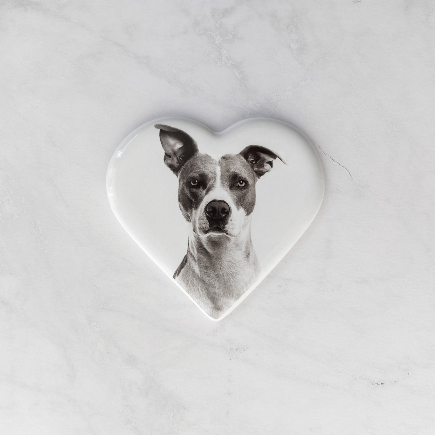 Placa Conmemorativa Cerámica con Foto, 9 cm de ancho – Porcelana en Forma de Corazón para Lápidas Imagen principal del producto